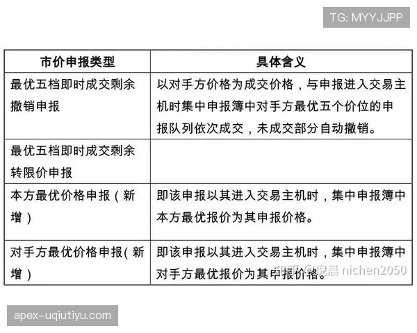 深入解析八秒违例规则的定义与判定标准