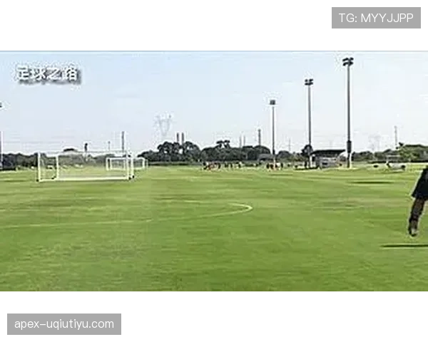 裁判手势快速识别判罚信号与实际判定场景