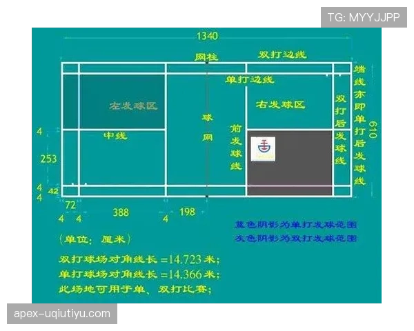 边线规则详解：球出界如何判定与发球位置选择